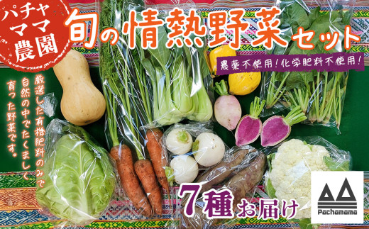 農園自慢の情熱野菜セット （ 7品 ）【 野菜 詰め合わせ お任せ 季節物 セット 山芋 パセリ わさび菜 ポップコーン かぶ 人参 里芋 たまねぎ 玉ねぎ ルッコラ ほうれん草 春菊 大根 芽キャベ