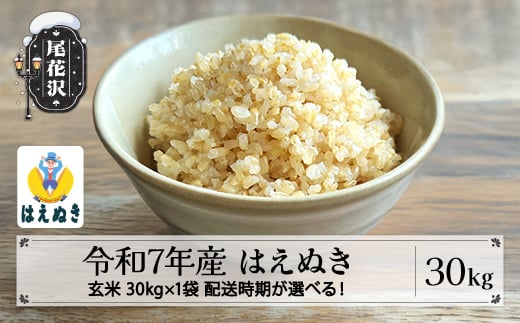 令和7年産 玄米 はえぬき 30kg 30kg×1袋 3月上旬発送 kg-hagxa30-3f