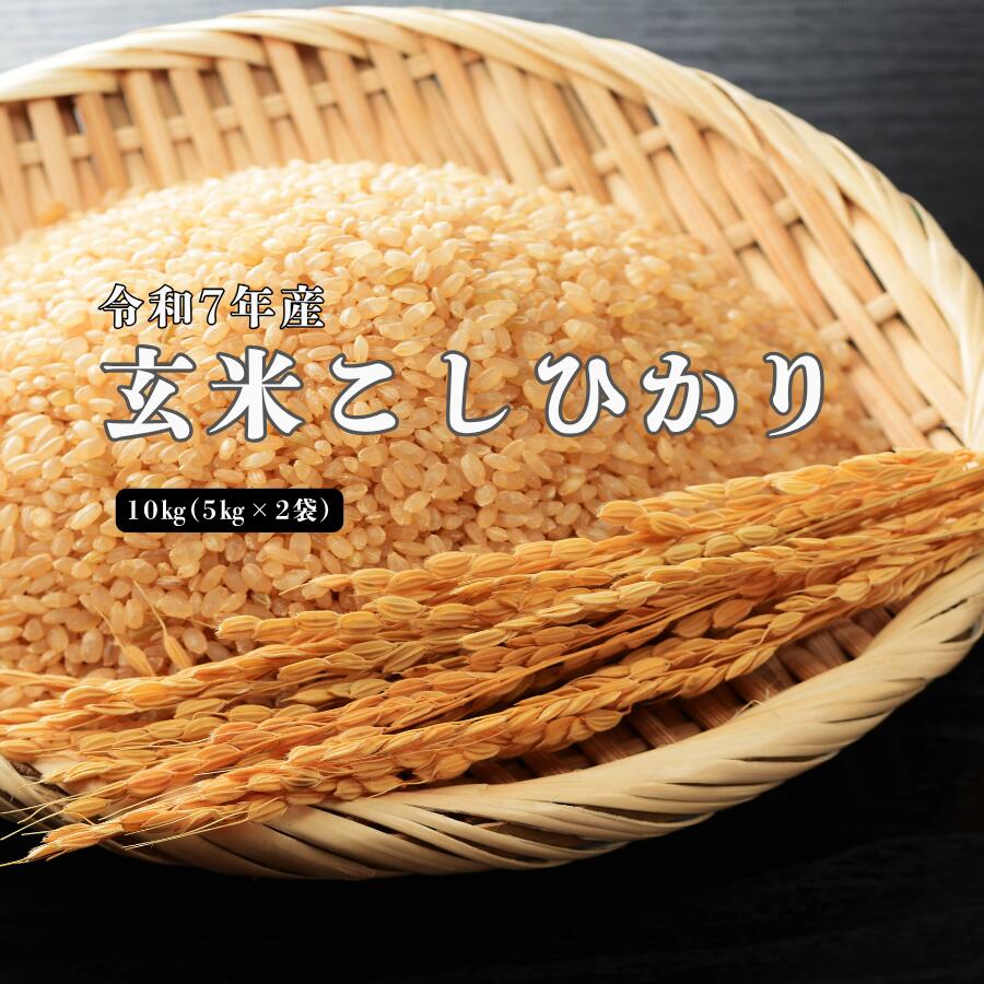 【ふるさと納税】令和7年産 しまね川本 玄米 10kg(5kg×2袋) 島根県 川本町産 玄米 藤屋 石見米