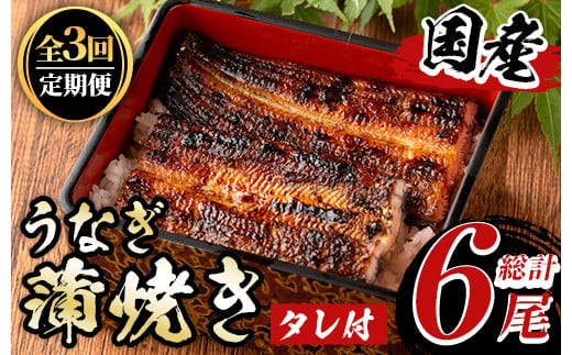 y490 《定期便・全3回》国産！うなぎ蒲焼き(2尾×3回・タレ付き) 国産 九州産 鹿児島県 宮崎県 鰻 ウナギ unagi うな重 うな丼 ひつまぶし うなじゅう 蒲焼 かばやき 無頭 魚 魚介類 土用 丑の日 タレ タレ付 おかず 惣菜 冷蔵 特産品 お土産 ギフト プレゼント ご贈答用 真空パック 湯煎 レンジ 簡単調理 内容量選べる 尾数選べる えらべる 定期 毎月【尾方屋】