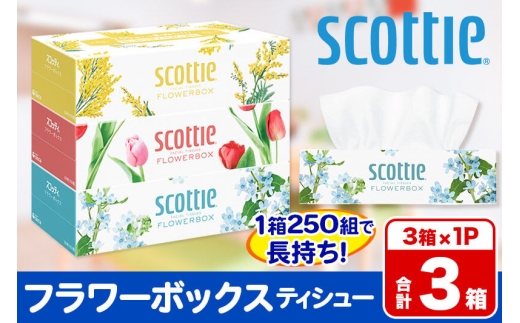 ティッシュペーパー スコッティ ティシュー フラワーボックス 250組 3箱パック×1パック 秋田市オリジナル [ティッシュ ボックスティッシュ]