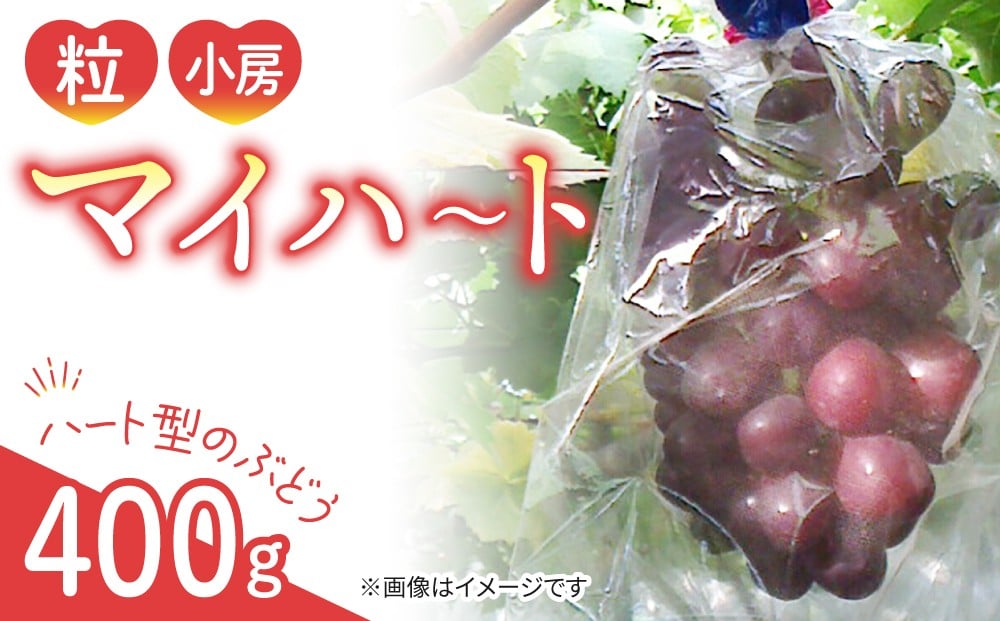 
            マイハート 400g （粒など）
          