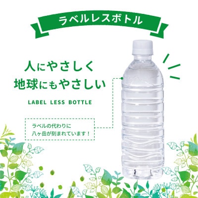 【2ヵ月毎定期便】蓼科の天然水ラベルレスボトル 500ml×24本 長野県茅野市からお届け全3回