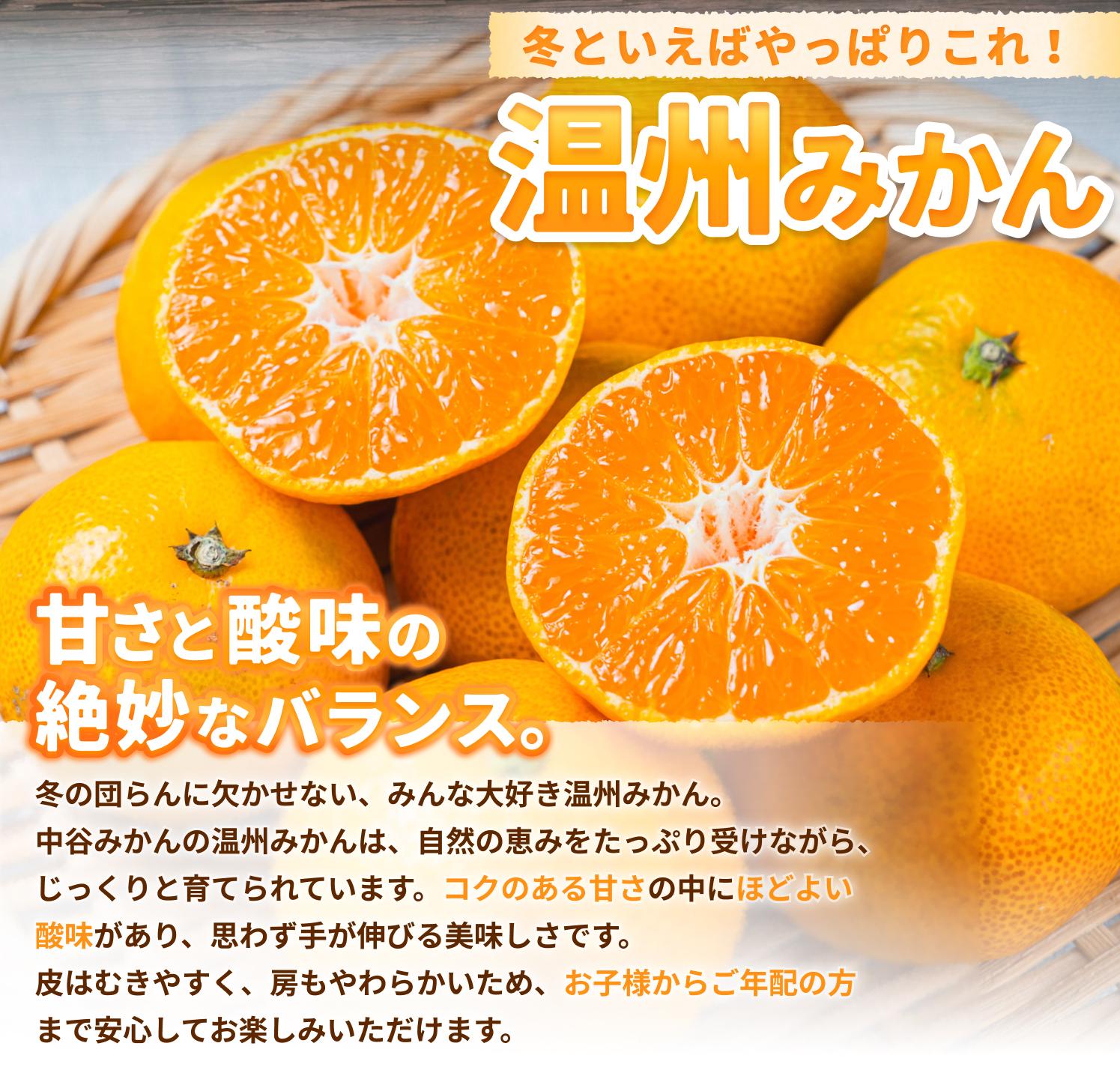 温州みかん 7.5kg 2S〜2Lサイズ混合 ※2025年12月上旬〜順次発送 / 温州 ミカン 農家直送　完熟 密柑 くだもの  果実  柑橘 果物 フルーツ 和歌山県 由良町 人気 おすすめ 産地