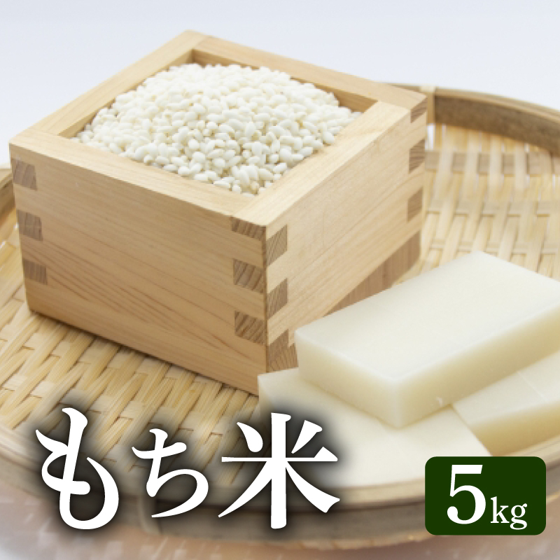 先行予約 令和8年度産 もち米 5kg