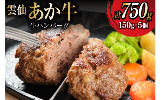 雲仙あか牛 ハンバーグ 150g×5個 [高田牧場 長崎県 雲仙市 item2273] 冷凍 湯煎 温めるだけ 牛 100％ あか牛 和牛 ブランド牛