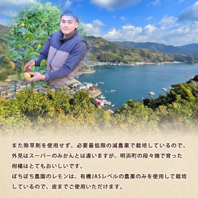 ふるさと納税 西予市 <ぼちぼち農園のレモン 家庭用 約3kg> 3キロ レモン れもん 檸檬 訳あり |  | 02
