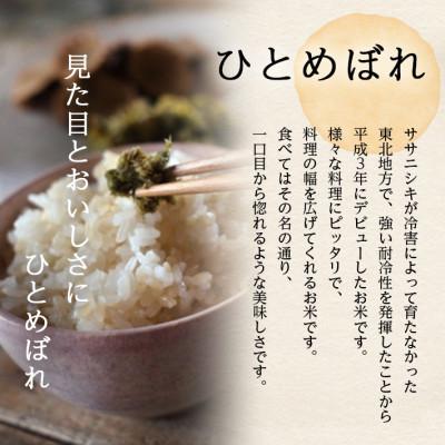 ふるさと納税 酒田市 玄米 パックご飯 2種 ひとめぼれ ミルキークイーン　150g×6パック×2種　計12パック |  | 01