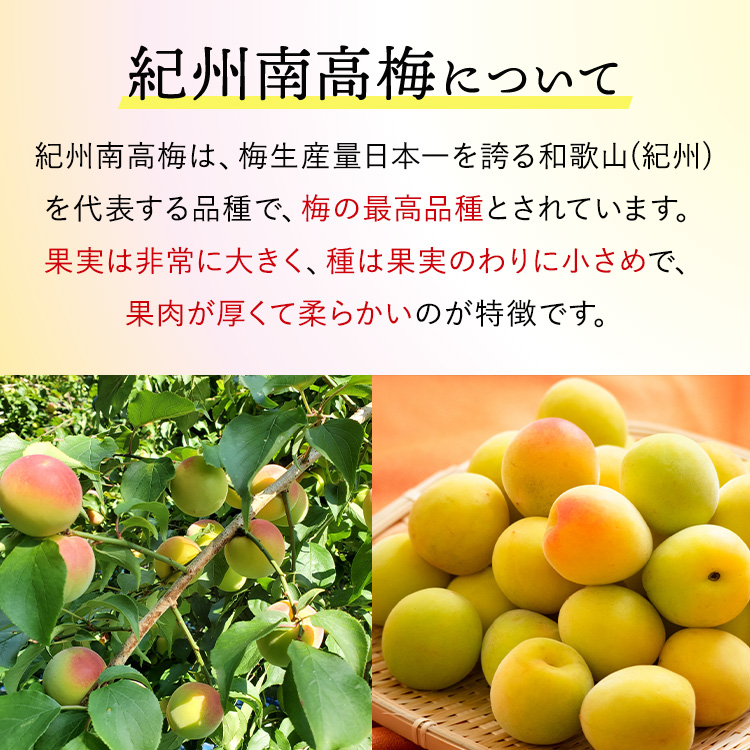 【贈答用】紀州南高梅 優梅 400g 化粧箱入 | ギフト プレゼント 国産 ※北海道・沖縄・離島への配送不可