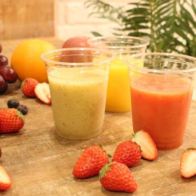 ふるさと納税 岡崎市 お家でカンタン!手作りスムージー♪