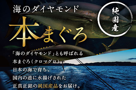 【冷蔵】絶品！生本マグロ　中トロ 350g（柵どり）