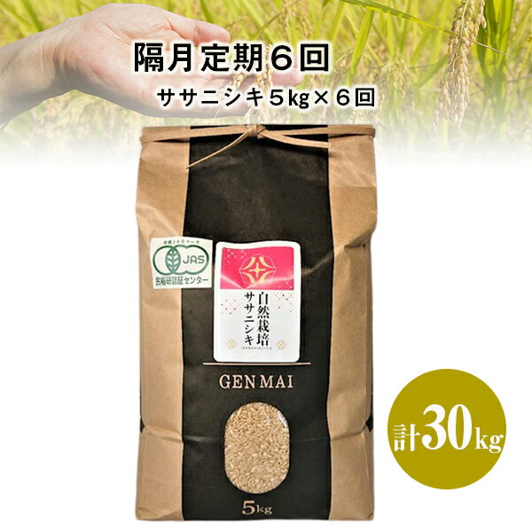 【ふるさと納税】《 新米先行予約 》隔月 定期便 6回 令和7年産 新米 自然栽培米 ササニシキ 5kg 選べる 玄米 精米 お米 ご飯 米 岩手県 一関市