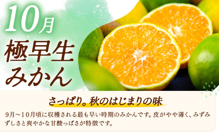 3ヶ月定期便 みかん 計15kg 日本フルーツ株式会社 ミカン