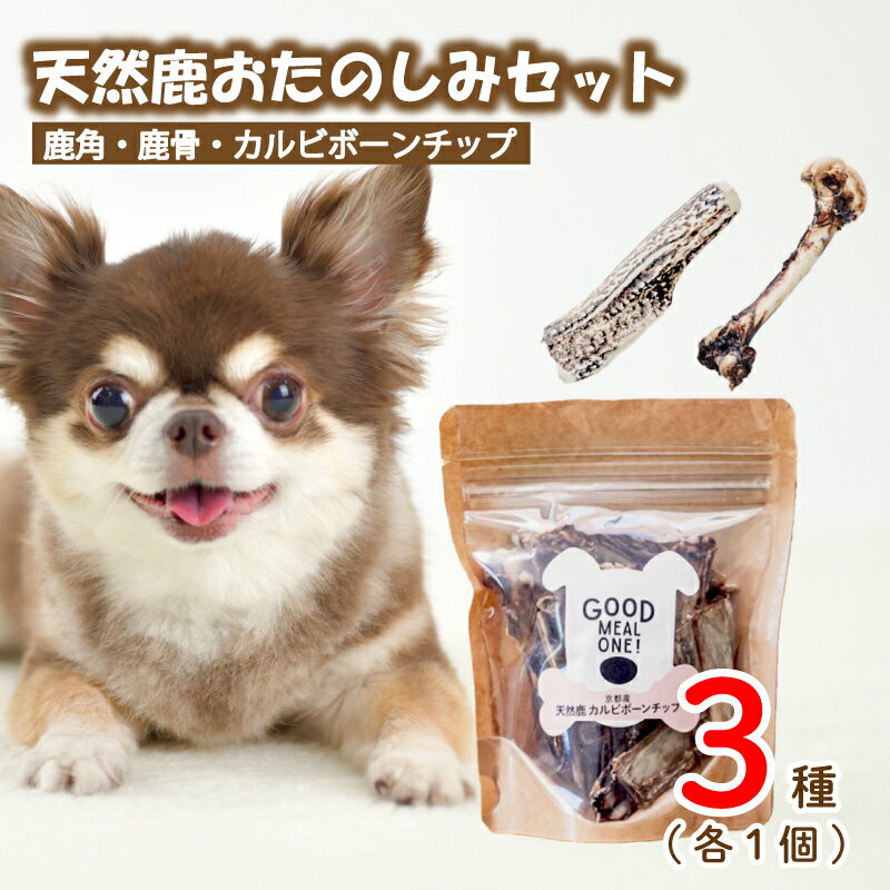 【ふるさと納税】 愛犬用 天然鹿 おたのしみ セット 3種 ( 鹿肉 鹿角 カルビボーンチップ カルビ ボーン チップ おやつ おもちゃ ペット ドッグフード ペットフード 餌 エサ 犬 鹿 肉 国産 健康 ジビエ 京都 )
