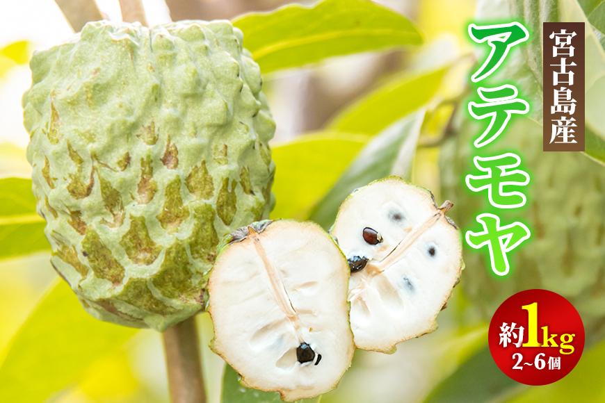【2027年発送】宮古島産アテモヤ約1kg（２～６個入り）（CV07）