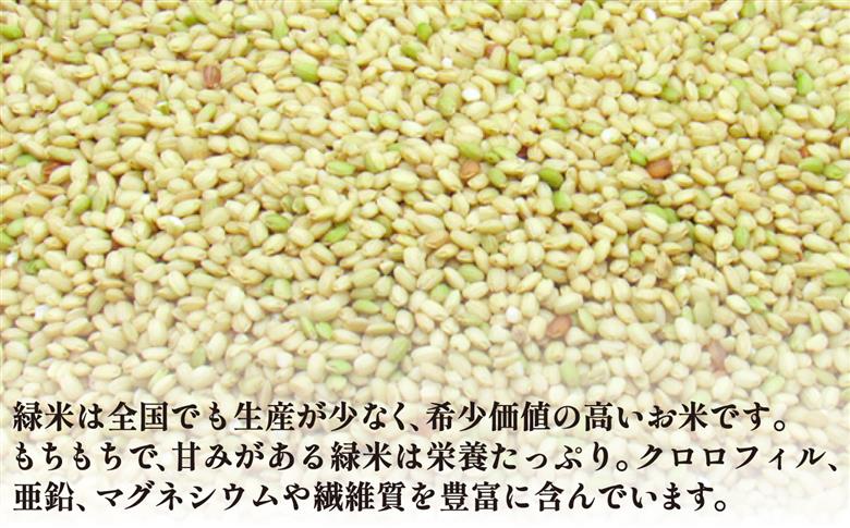 古代米セット 黒米・赤米・緑米 計1.5kg (500g×3種) 《壱岐市》【天下御免】 雑穀米 玄米 米 栄養 白米に混ぜる [JDB406]