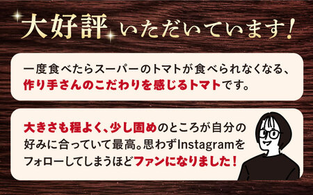【2025年収穫分先行予約】【数量限定】糖度８度以上の果実！大島トマト 約3kg＜大島造船所農産G＞ [CCK005]
