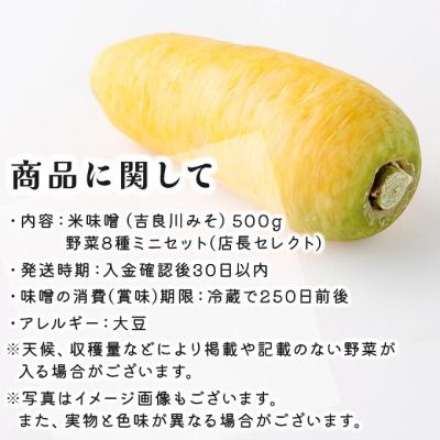 ふるさと納税 室戸市 お味噌と8品野菜セット |  | 02