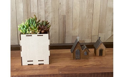 安心やすらぎ共和国 OASIS REPUBLIC -SUNAGAWA BASE-　片桐農園×空知単板工業㈱『多肉植物寄せ植え体験ギフトセット』 [オアリパ 北海道 砂川市 12260374]_イメージ