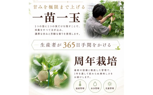 013-17　静岡県産 アローマメロン 白級 1玉 化粧箱入 贈答 高級 甘い ジューシー とろける 極み メロン めろん プレゼント ギフト 贈答品 贈り物 ギフト 高品質 メロン めろん スイーツ