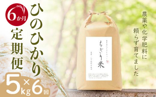 【令和6年新米・先行受付】《6か月定期便》無農薬米 ひのひかり ちぎり米 5kg×6回【佐賀県産 米 コメ ヒノヒカリ 夢しずく 精米 白米】I6-C091301