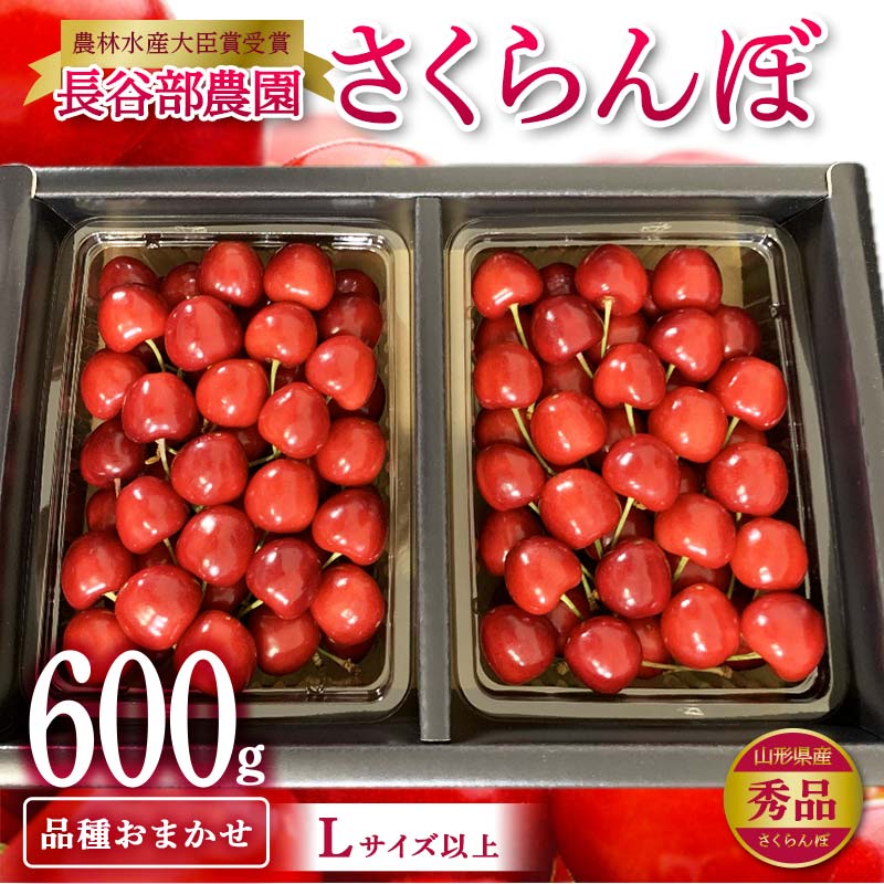 【ふるさと納税】 《先行予約 2026年発送》【希少 数量限定】農林水産大臣賞受賞 長谷部農園 さくらんぼ 600g バラ詰め 品種おまかせ 秀品 Lサイズ以上 桜桃 さくらんぼ 果物 フルーツ 山形県産 FSY-2131
