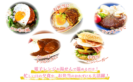 W-0409／鹿児島県産 桜島美湯豚　てりやきソース ハンバーグ 150g×4個
