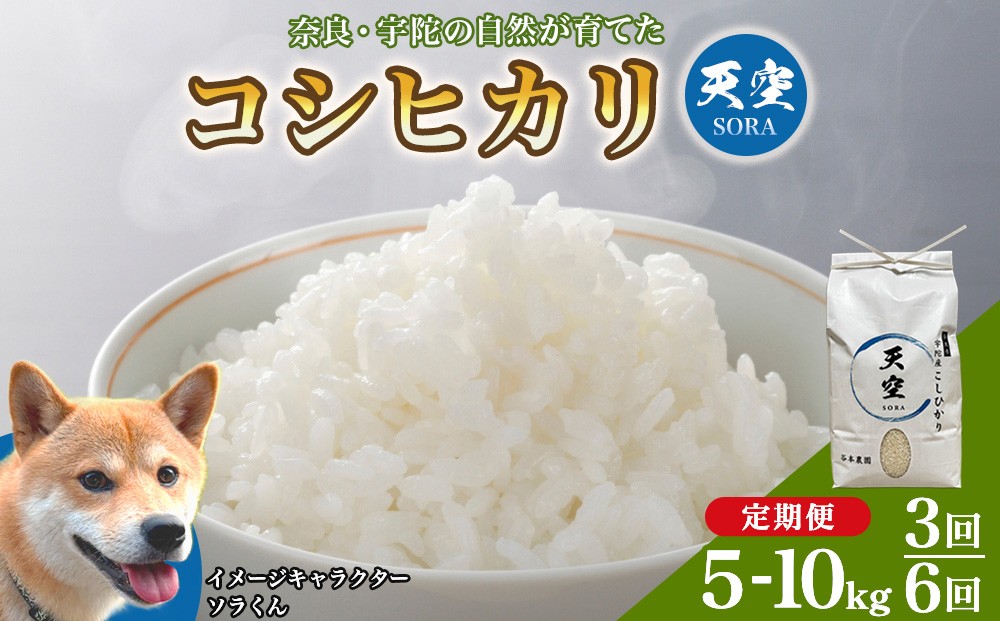 
                  令和8年産 宇陀の自然が育てた 天空【sora】コシヒカリ 5kg-10kg 定期便3回・6回 ／ 令和8年 コシヒカリ米 こめ お米 定期便 毎月 美味しい オススメ 精米済 新米 白米 奈良 宇陀
                
