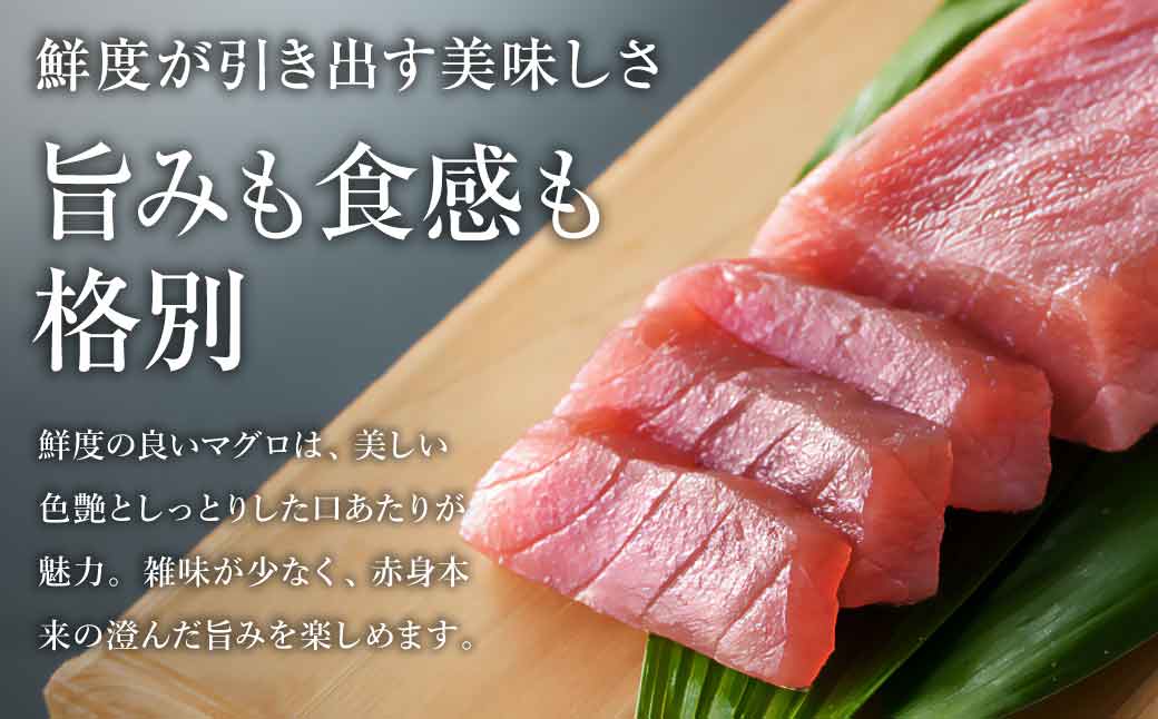 【国産】天然マグロ柵 お造り用 4人前