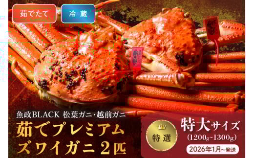 【蟹の匠 魚政】茹で　プレミアムズワイガニ 魚政BLACK（松葉ガニ・越前ガニ）特撰 特大サイズ（1200～1300g） 2匹セット　 (2026年1月～発送)【平日】松葉蟹 蟹 かに カニ ガニ がに ボイル 海産物 甲殻類 海の幸 まるごと　UO01309