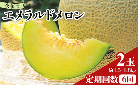 【６回定期便】夜須のエメラルドメロン ２玉 テレビ朝日「ザワつく!金曜日」で特集 紹介 くだもの フルーツ ギフト マスクメロン 青肉 ブランド ギフト 贈答用 ご褒美 高級 1個 お礼 御祝 産地直送 JA 高知県農業協同組合 香南市 常温 Wyu-0034