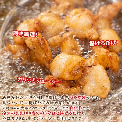 ふるさと納税 鹿部町 北海道産 たこザンギ 1kg(500g×2袋) SM06-2 |  | 01