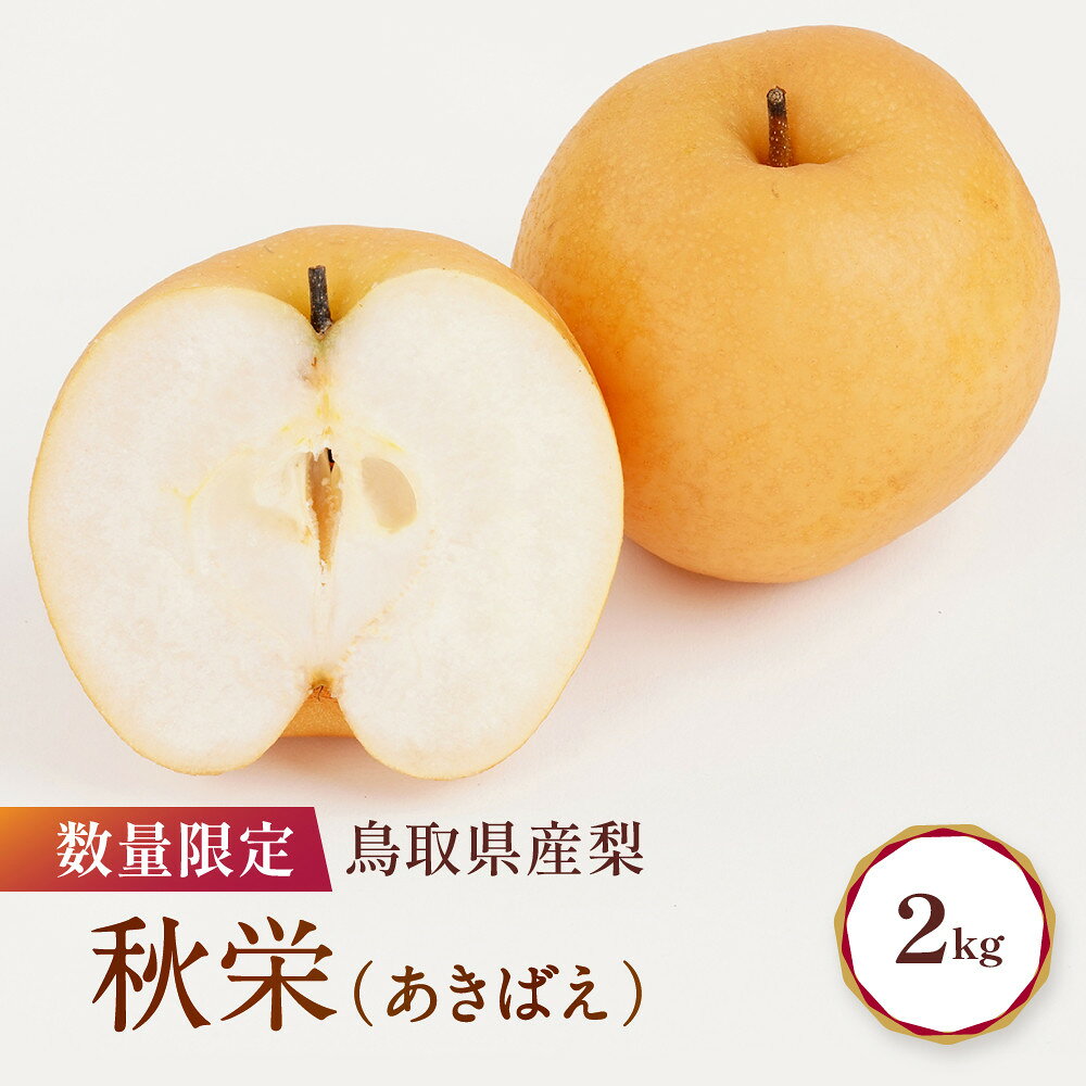 【ふるさと納税】梨 秋栄 約2kg 先行予約 数量限定 鳥取県産 梨 | 梨 なし 鳥取県 梨 2kg おすすめ おいしい 果物 くだもの フルーツ