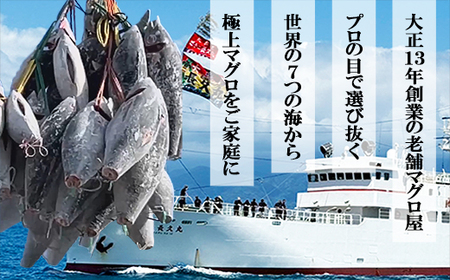 今だけ増量！ネギトロ (まぐろたたき) ８８０ｇ (８０g ×１１袋) セット小分け 天然まぐろ ネギトロ ねぎとろ ネギトロ丼 手巻き寿司 軍艦 寿司 まぐろたたき 天然 まぐろ マグロ 冷凍 魚介