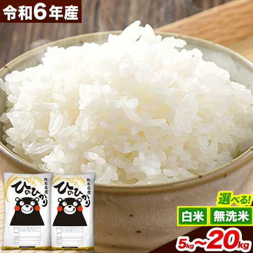 【ふるさと納税】 令和6年産 選べる 無洗米 白米 ひのひかり 5kg 10kg 15kg 20kg 《7-14日以内に出荷予定(土日祝除く)》 熊本県産 無洗米 白米 精米 ひの 送料無料 熊本県 山江村 SDGs むせんまい 米 コメ こめ 国産
