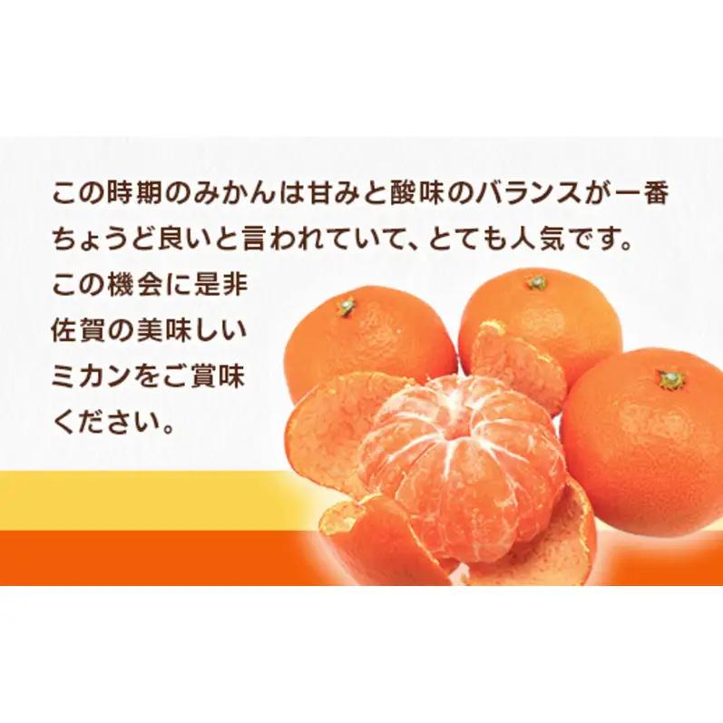 みかん 温州みかん 佐賀県産 みかん【約7kg】