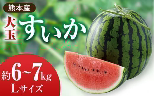 【先行予約】大玉 すいか Lサイズ【株式会社 前田ファーム】 [ZCM001] すいか ギフト 旬 デザート お取り寄せ