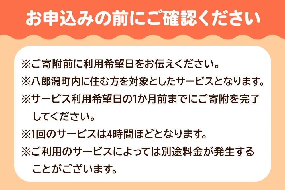 付き添い 看護師による通院・外出付き添いサービス 1回 約4時間 レターパックライトでお届け 八郎潟