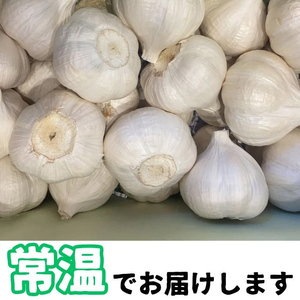 【A93001】＜先行予約受付中！2025年6月下旬より準備ができ次第発送＞農家直送 鹿児島県産 にんにく(約1kg) 鹿児島 国産 にんにく ニンニク 大蒜 野菜 ガーリック 薬味 【悠希農園】