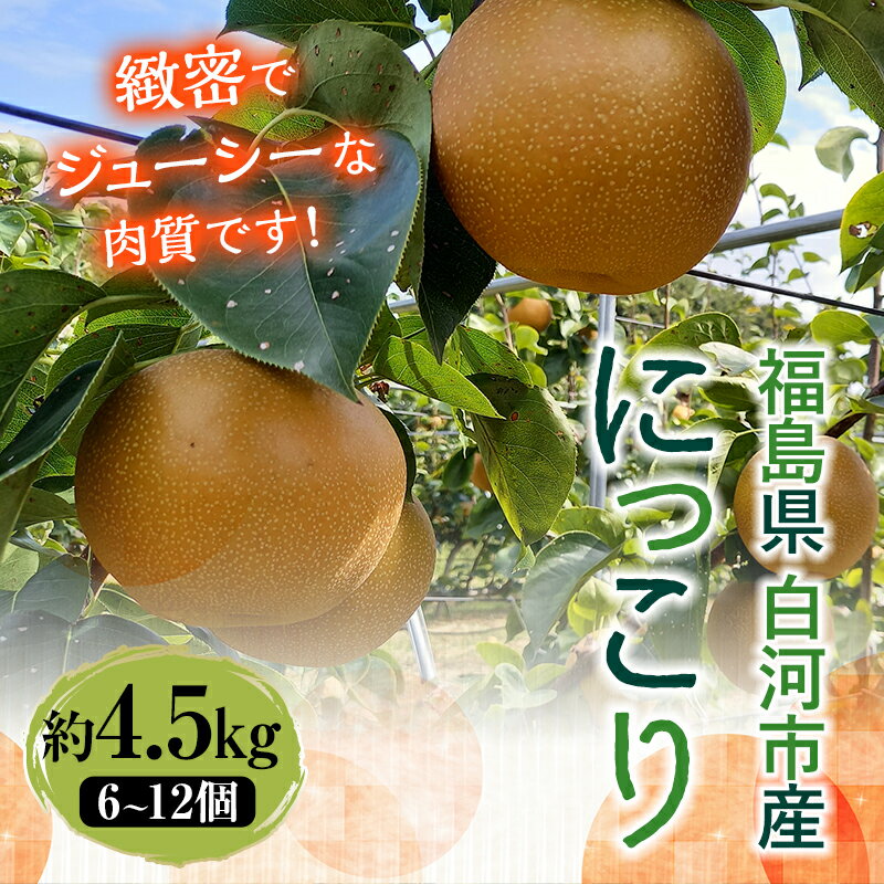 【ふるさと納税】有機肥料 低農薬栽培の梨 にっこり 約4.5kg F21R-802