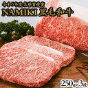 【ふるさと納税】NAMIKI和牛ステーキ(250g×3枚)【国産 牛肉 ステーキ 冷凍 送料無料 青森県 七戸町 和牛 金子ファーム お祝い 贈り物 誕生日 お中元 夏 ギフト お肉 NAMIKI ご飯のお供】【02402-0212】