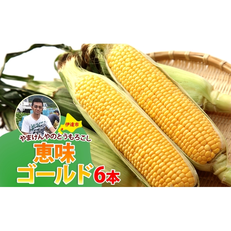 やまけんや とうもろこし 恵味ゴールド 6本 スイートコーン コーン 甘い サラダ スープ 生でも美味しい 産地直送 BBQ とうきび 国産 人気 バーベキュー 焼きとうもろこし 取り寄せ 糖度 北海