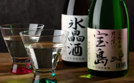 日本酒 純米 月夜の宝島 上撰 氷晶酒 日本酒[XAK009]