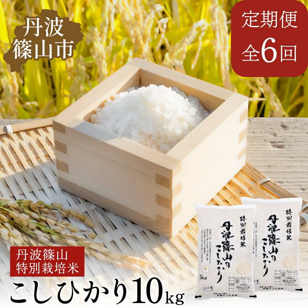 【ふるさと納税】【定期便】※令和7年 新米予約※特Aランク特別栽培米　コシヒカリ　10kg（全6回） 兵庫県 丹波篠山市 白米 100％単一原料米 産地直送米 贈答 おいしい お米 精米 ブランド おこめ 健康 ギフト 内祝い 贈り物 送料無料 おすすめ 人気 口コミ