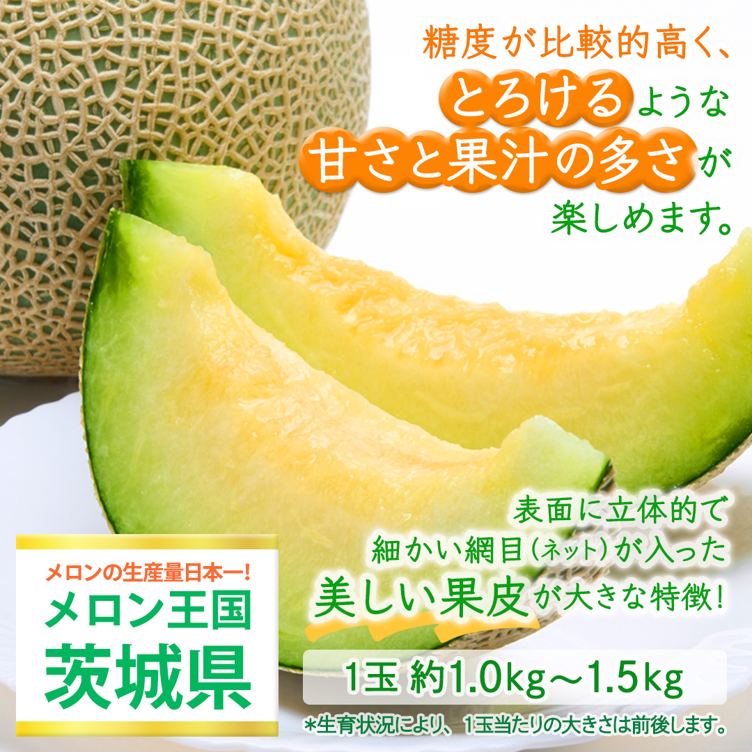 アールスメロン 2玉 メロン ギフト 高糖度 甘い 美味しい フ