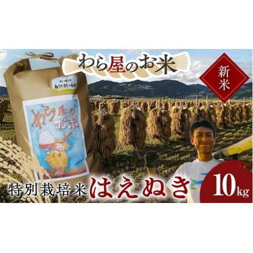 【令和7年産 新米 先行予約】 【わら屋のお米】 特別栽培米 はえぬき 10kg 《令和7年10月下旬～発送》 『おがわ藁農園』 米 白米 精米 ご飯 農家直送 山形県 南陽市 [2068-R7]