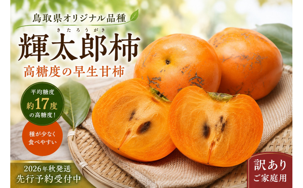 【先行予約】【2026年秋発送】鳥取市産 輝太郎柿 約3kg【訳あり・ご家庭用】鳥取県オリジナル 高糖度 甘柿 種が少ない 秋の味覚 312011_GN003