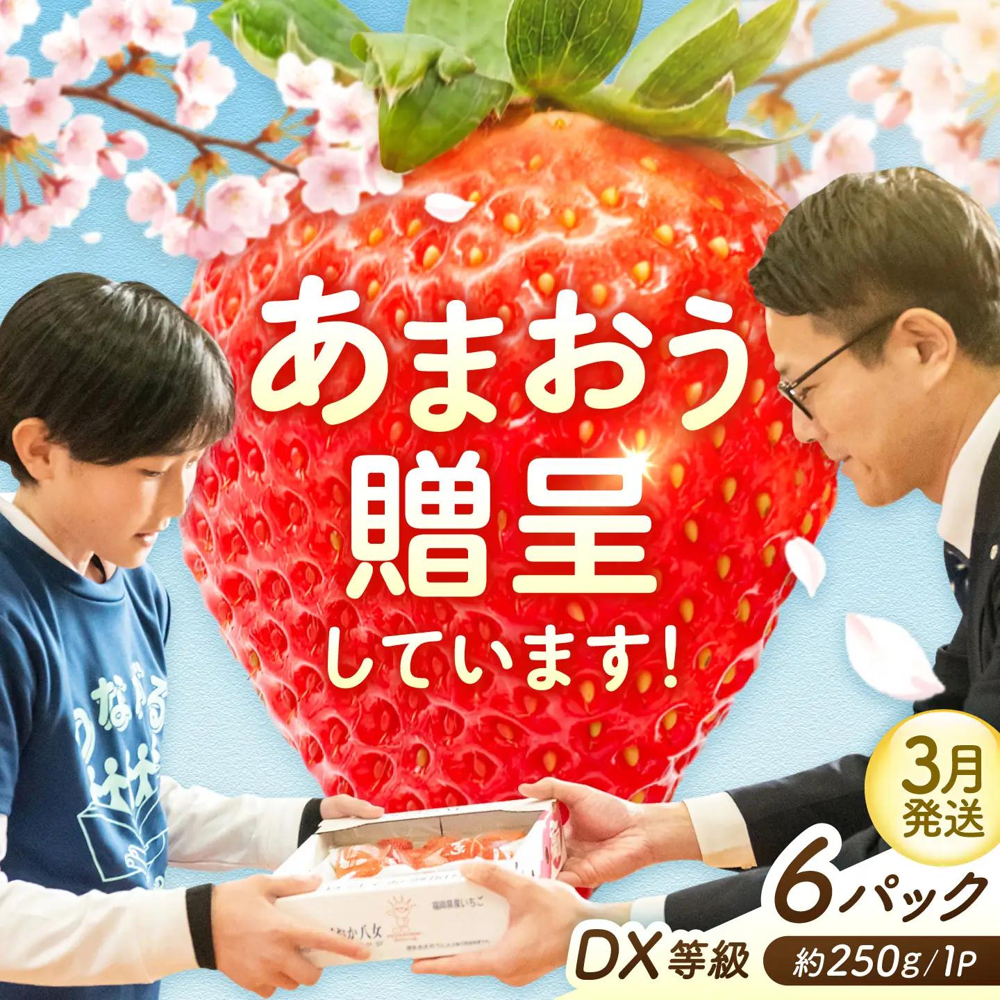 【3月発送】あまおうDX等級 3ケース（約250g×6パック） 広川町 / JAふくおか八女農産物直売所どろや[AFAB113]
