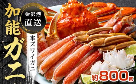 金沢港 直送！ボイル 加能ガニ(大) ズワイガニ ズワイガニ ズワイガニ ズワイガニ ズワイガニ 加能蟹 加能蟹 加能蟹 加能蟹 かに かに かに