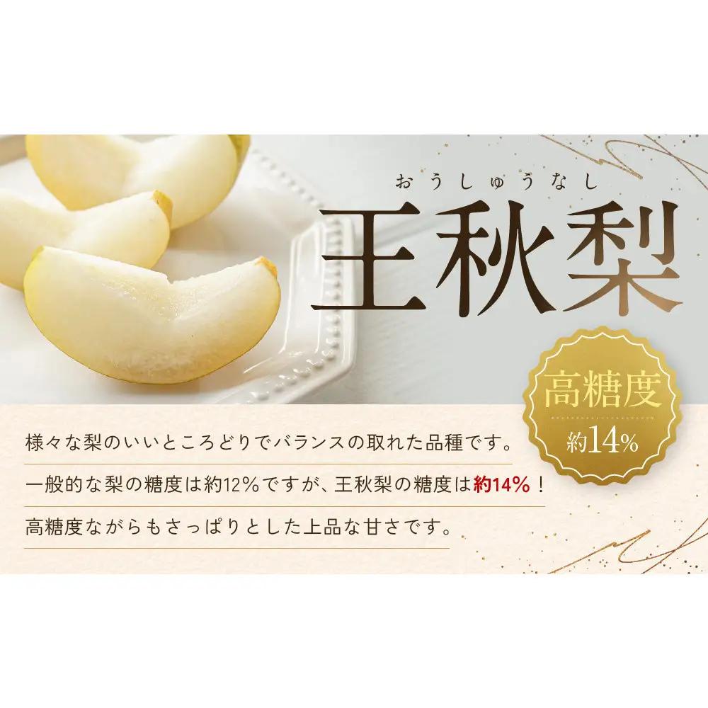 【先行予約】訳あり 数量限定 鳥取県産 王秋梨（おうしゅうなし） 約5kg （7～15玉）≪2026年11月中旬頃出荷≫ 【鳥取県 境港市】